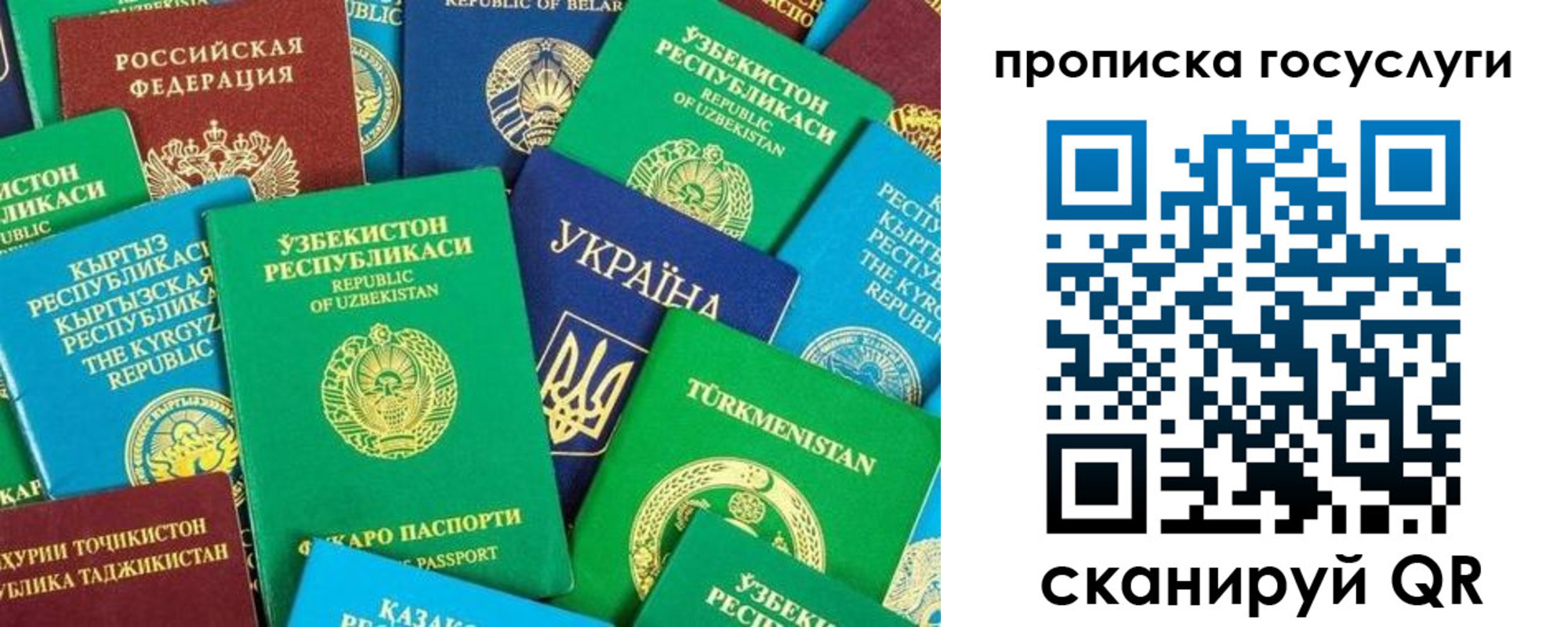временная регистрация для всех в Курчалом